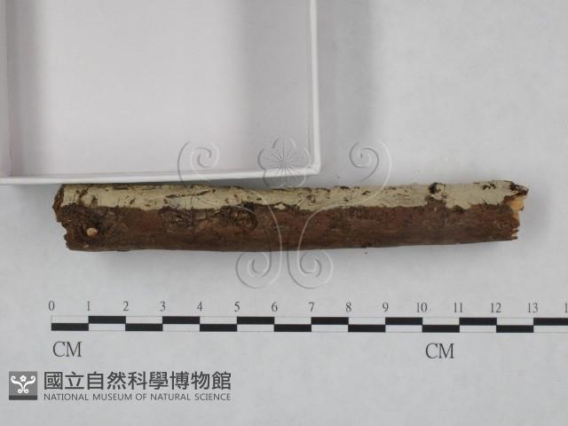 登錄號:F0022251藏品圖，第4張