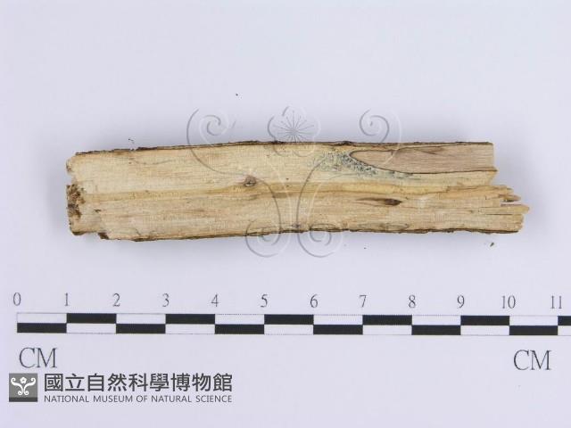 登錄號:F0001651藏品圖，第4張
