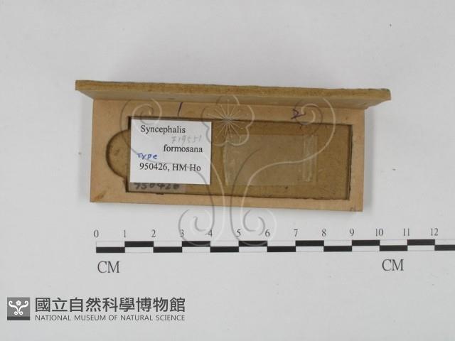 登錄號:F0019551藏品圖，第4張