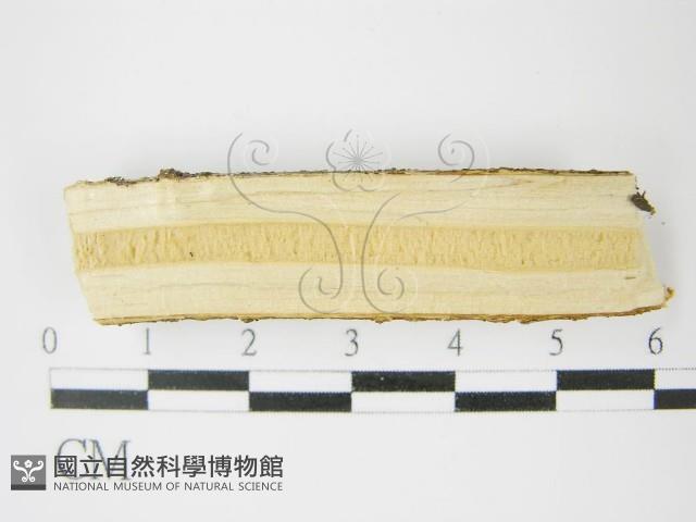 登錄號:F0009151藏品圖，第4張