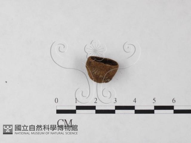 登錄號:F0024051藏品圖，第4張