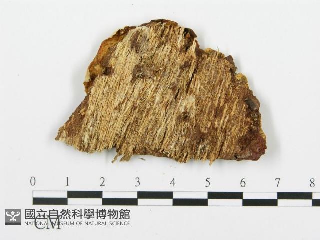 登錄號:F0017351藏品圖，第4張
