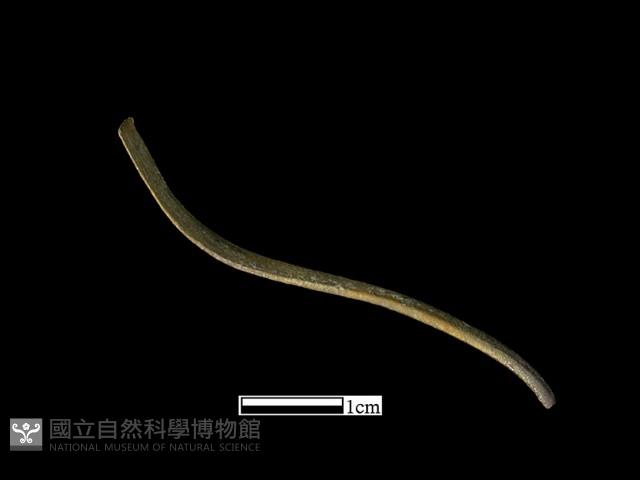 髮簪藏品圖，第4張