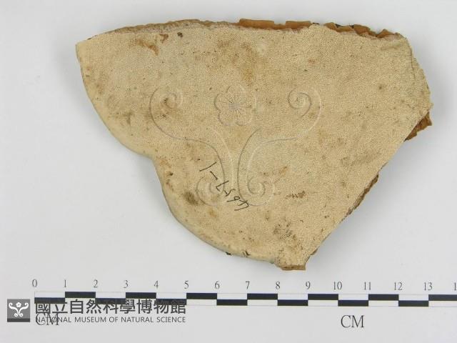 登錄號:F0018831藏品圖，第4張