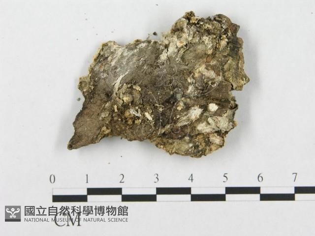 登錄號:F0019931藏品圖，第4張