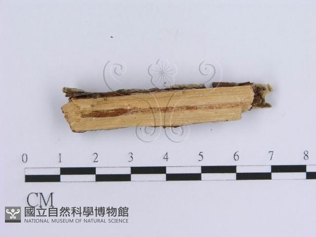 登錄號:F0002431藏品圖，第4張