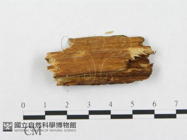 登錄號:F0014031藏品圖，第4張