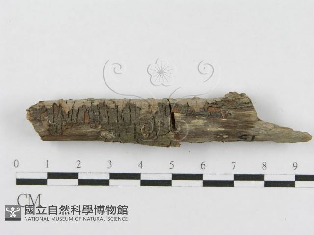 登錄號:F0010471藏品圖，第4張