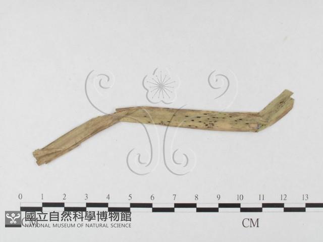 登錄號:F0026371藏品圖，第4張