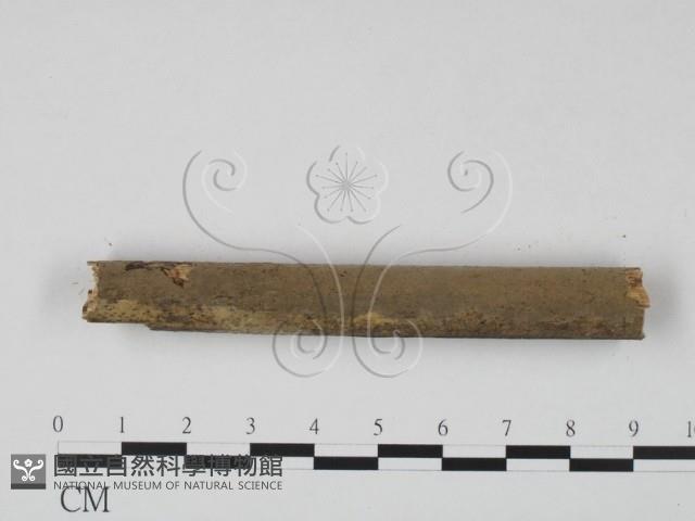 登錄號:F0015164藏品圖，第4張