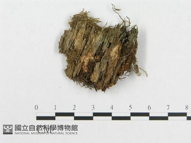 登錄號:F0007224藏品圖，第4張
