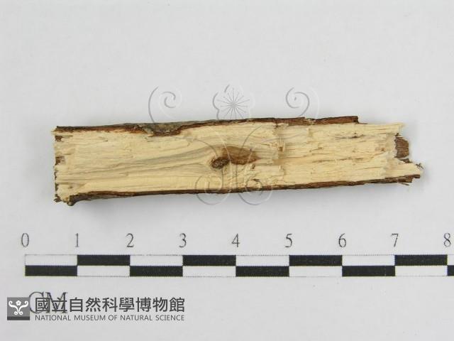 登錄號:F0012924藏品圖，第4張