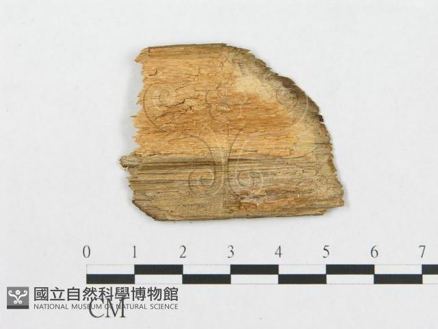 登錄號:F0005924藏品圖，第4張