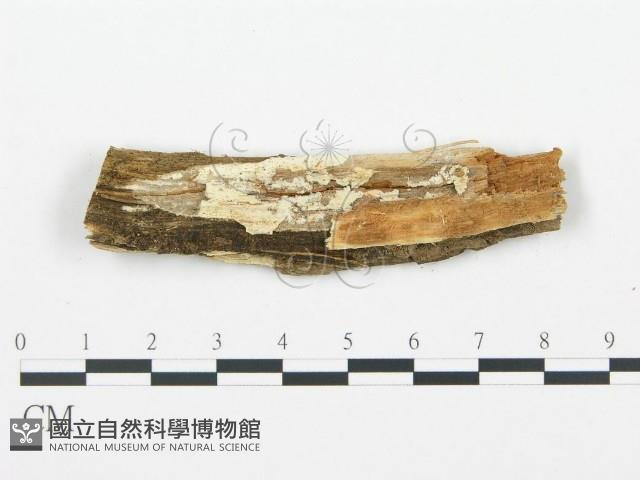 登錄號:F0003624藏品圖，第4張