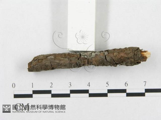 登錄號:F0013624藏品圖，第4張
