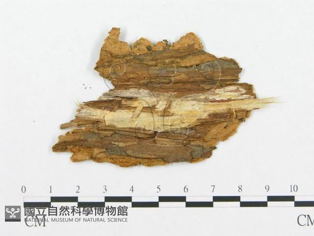 登錄號:F0011424藏品圖，第4張