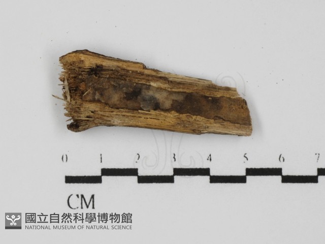 登錄號:F0015724藏品圖，第4張