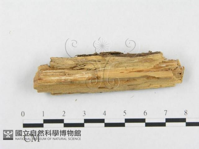 登錄號:F0001524藏品圖，第4張