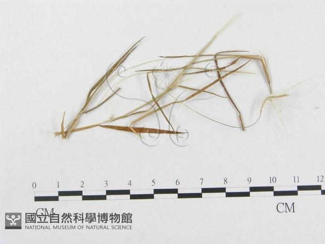 登錄號:F0019324藏品圖，第4張