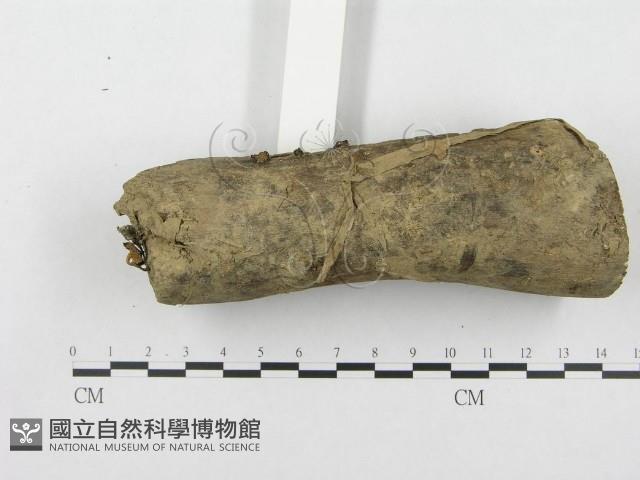 登錄號:F0010904藏品圖，第4張