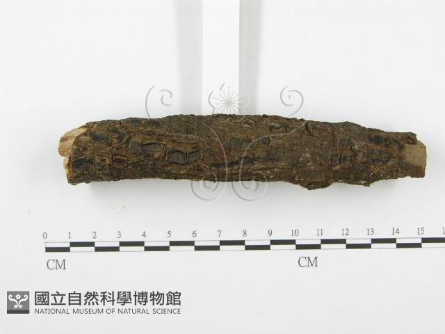 登錄號:F0001604藏品圖，第4張