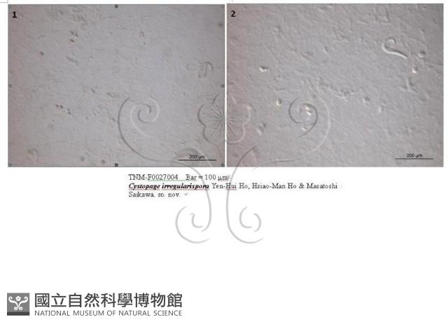 登錄號:F0027004藏品圖，第4張