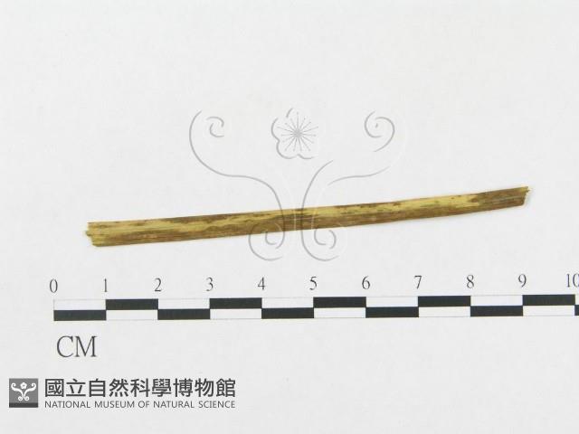 登錄號:F0018954藏品圖，第4張