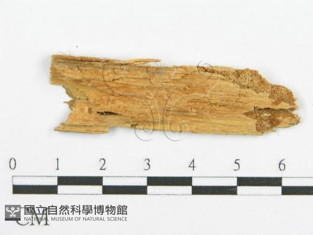 登錄號:F0015754藏品圖，第4張
