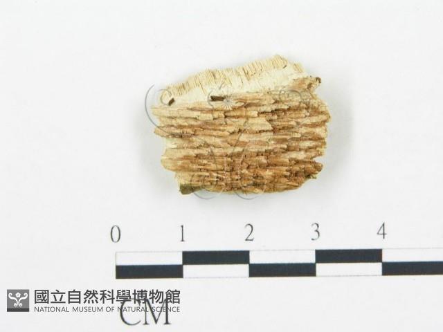 登錄號:F0019754藏品圖，第4張