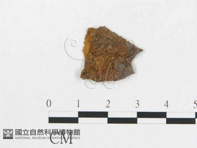 登錄號:F0011554藏品圖，第4張