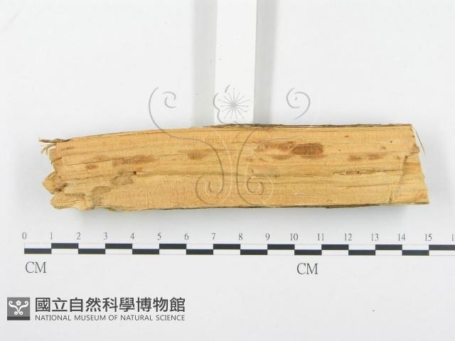 登錄號:F0001354藏品圖，第4張