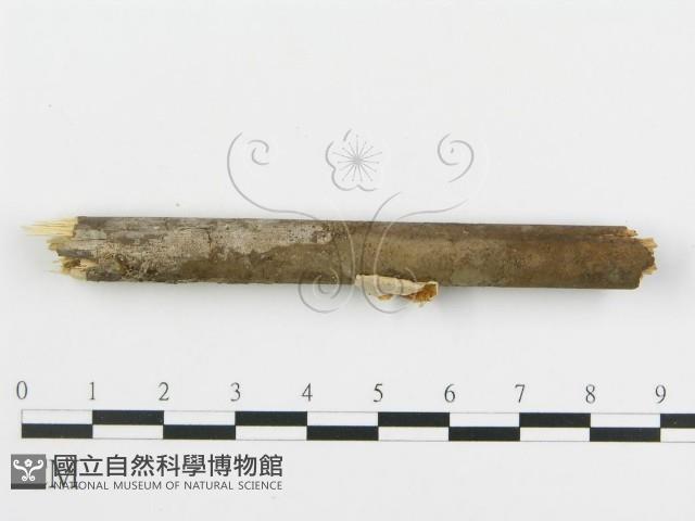 登錄號:F0012354藏品圖，第4張