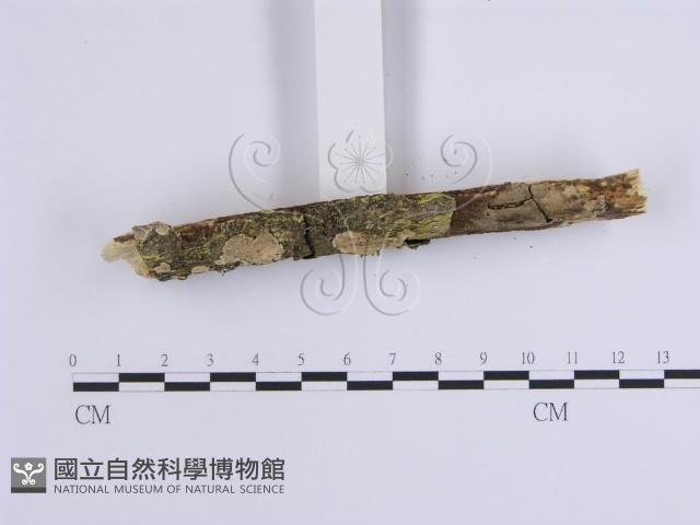 登錄號:F0001644藏品圖，第4張