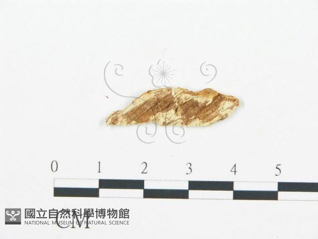 登錄號:F0019744藏品圖，第4張