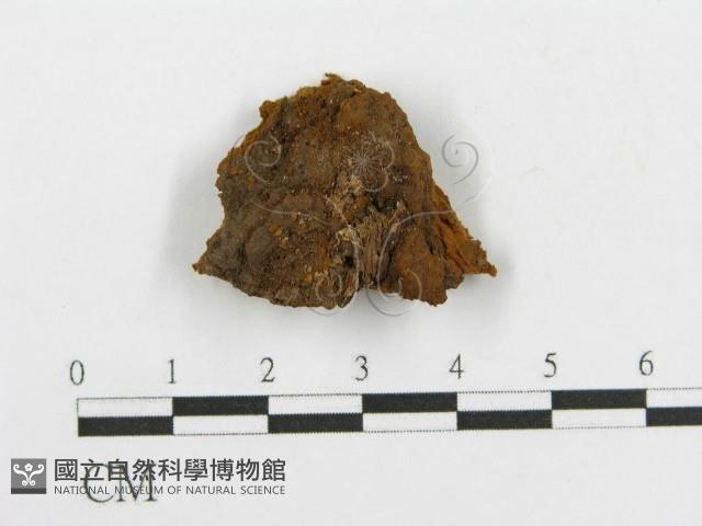 登錄號:F0017544藏品圖，第4張