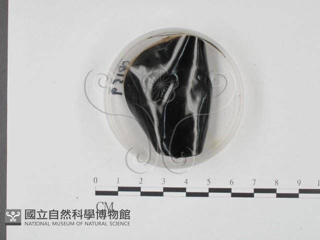 登錄號:F0022144藏品圖，第4張