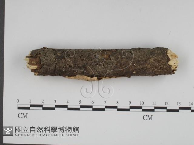 登錄號:F0001044藏品圖，第4張