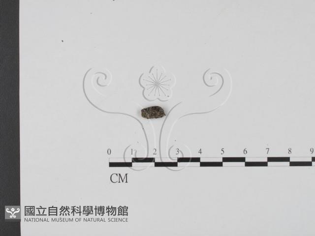 登錄號:F0018634藏品圖，第4張