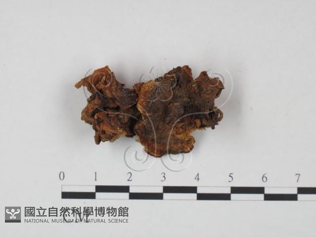 登錄號:F0000434藏品圖，第4張