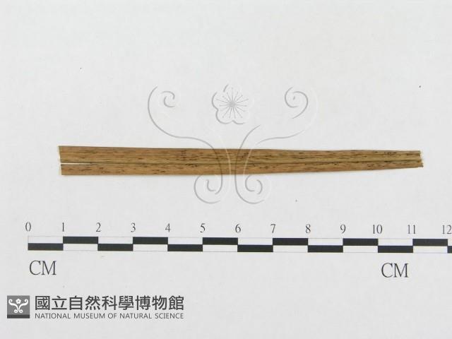 登錄號:F0019334藏品圖，第4張
