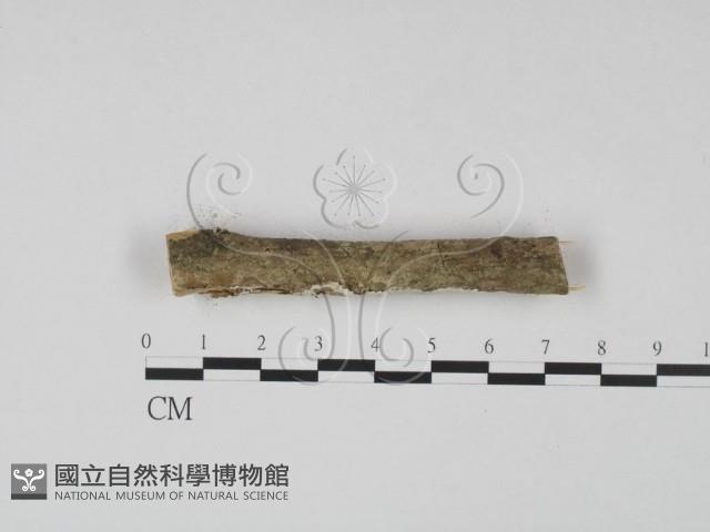 登錄號:F0008874藏品圖，第4張