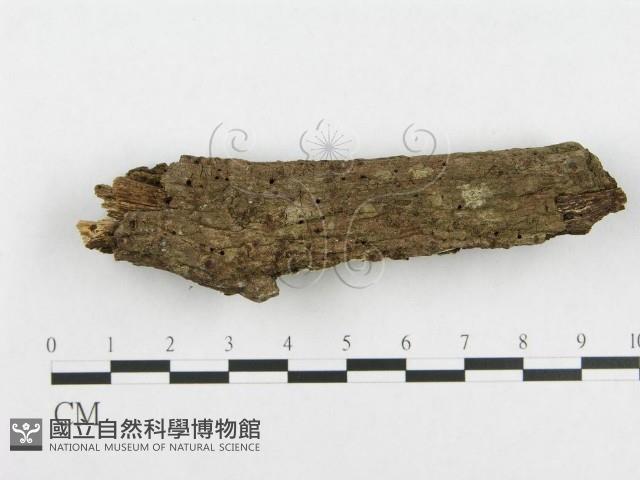 登錄號:F0003674藏品圖，第4張