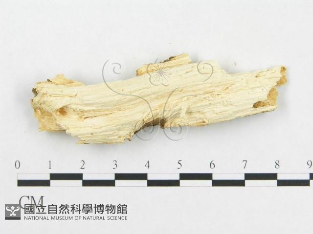 登錄號:F0002474藏品圖，第4張