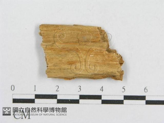 登錄號:F0015774藏品圖，第4張