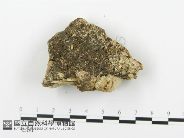 登錄號:F0019774藏品圖，第4張