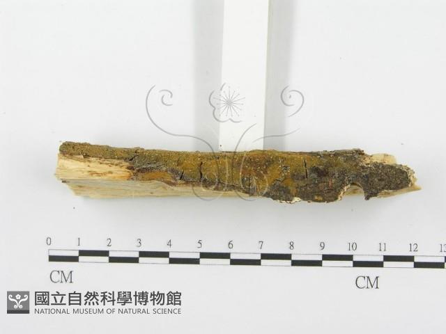 登錄號:F0001374藏品圖，第4張