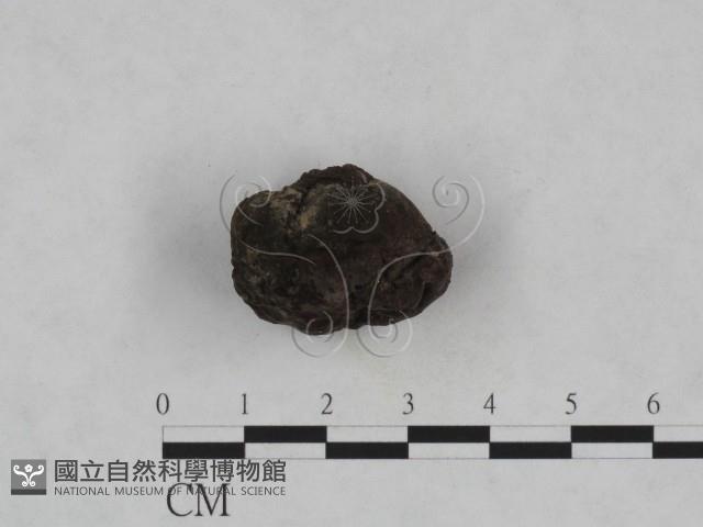 登錄號:F0023962藏品圖，第4張