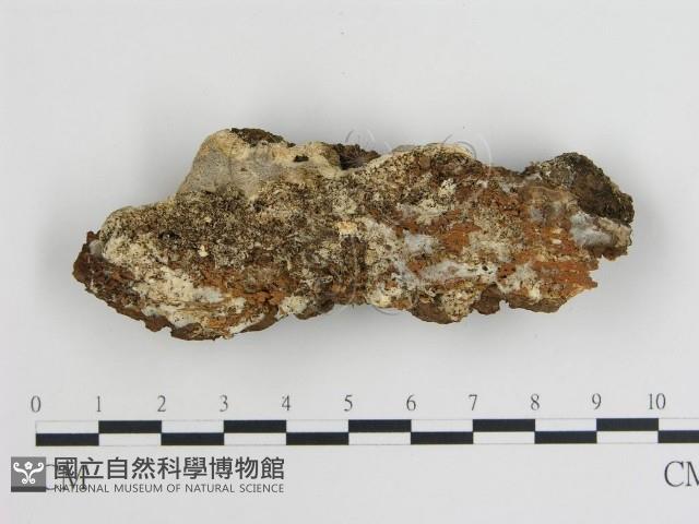 登錄號:F0013962藏品圖，第4張