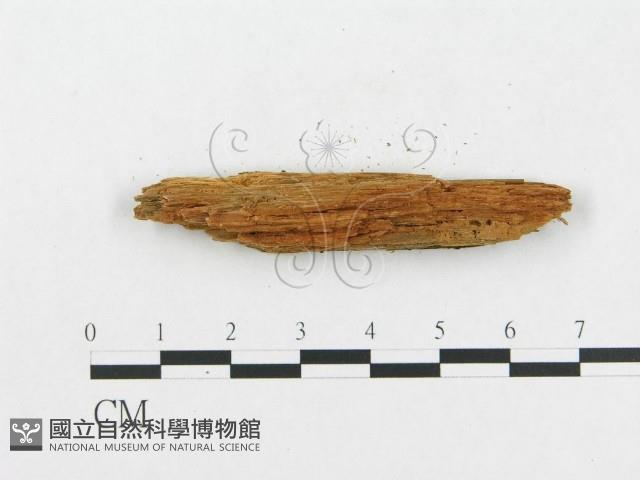 登錄號:F0016722藏品圖，第4張