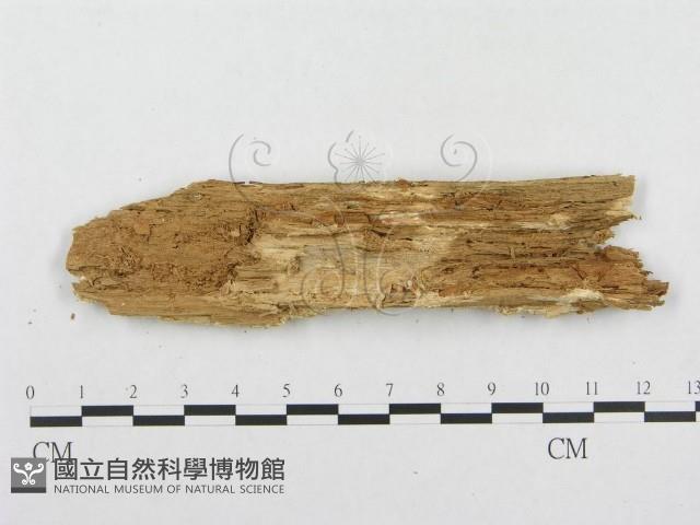 登錄號:F0007122藏品圖，第4張